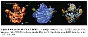 2009-10-07 Ribosome structure