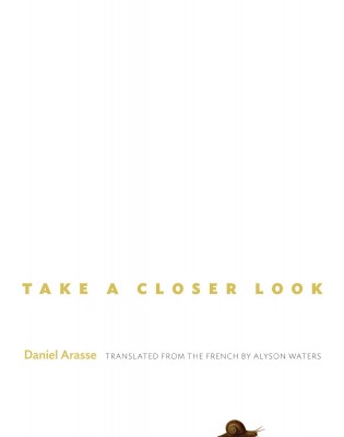 书名：《仔细看一下》(Take a Closer Look) 作者：丹尼尔•阿拉斯(Daniel Arasse) 出版社：普林斯顿大学出版社 出版时间：2013年9月