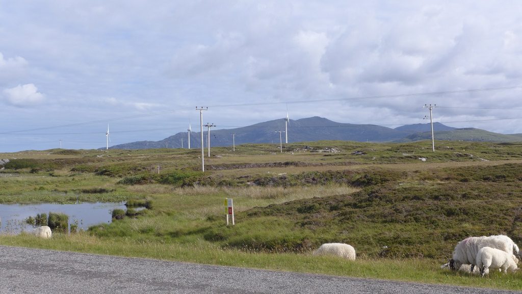 在我们的住处可以看到远处的社区风力发电站